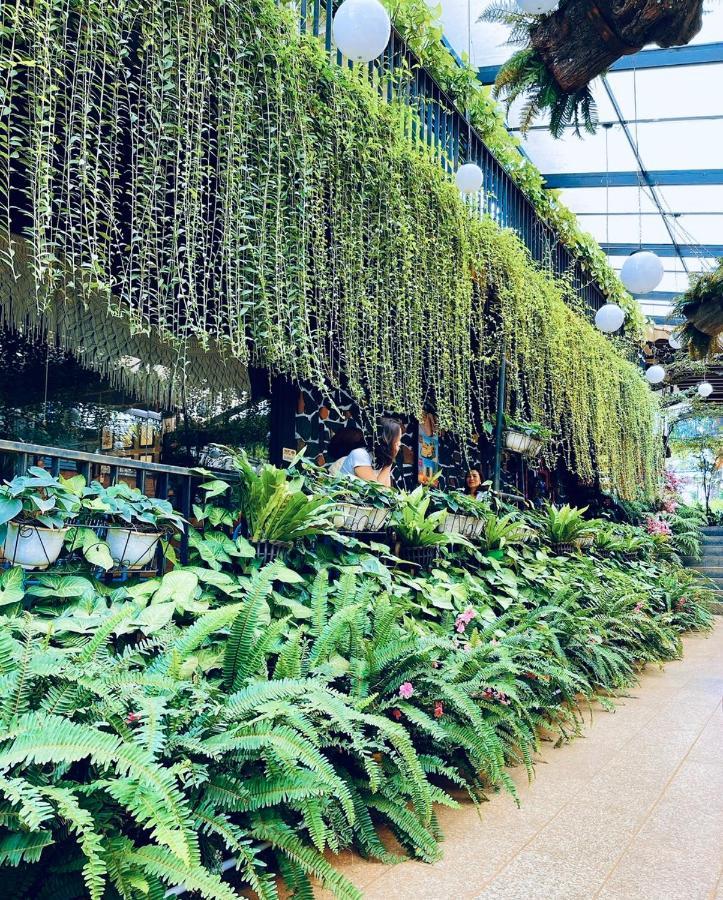 Jrai Homestay Pleiku Bagian luar foto